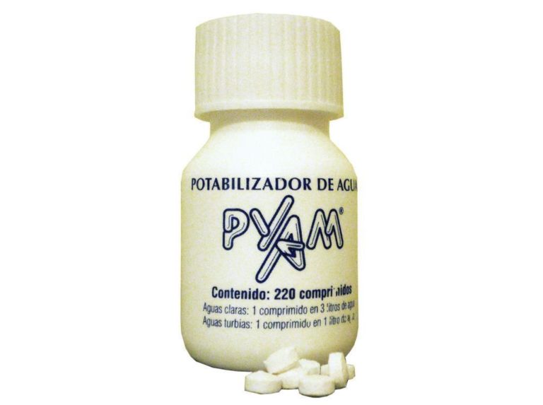 Pastillas Pyam Potabilizadoras 3 L O 1l 220 Comprimidos Distribuidora Havoc Pastillas Pyam Potabilizadoras 3 L O 1l 220 Comprimidos Distribuidora Havoc